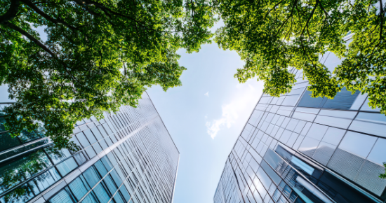 ビルと自然のイメージ