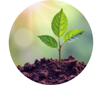 カーボン オフセット サービス