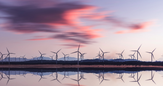 サステナビリティへの貢献