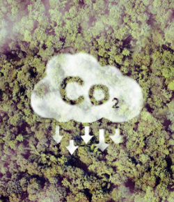 CO2排出量を最大35%削減