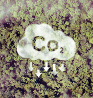 CO2排出量を最大35%削減
