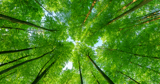 環境負荷・エネルギーコストの削減