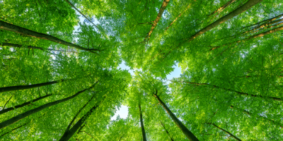 環境負荷・エネルギーコストの削減