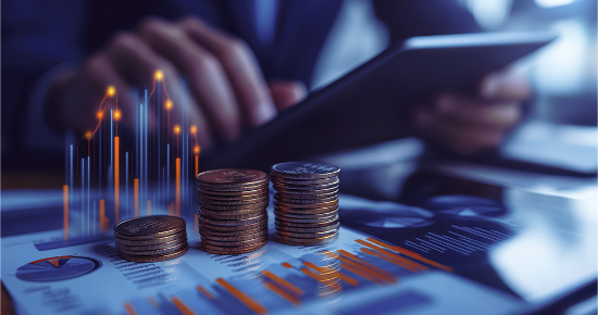 予算・費用対効果の課題